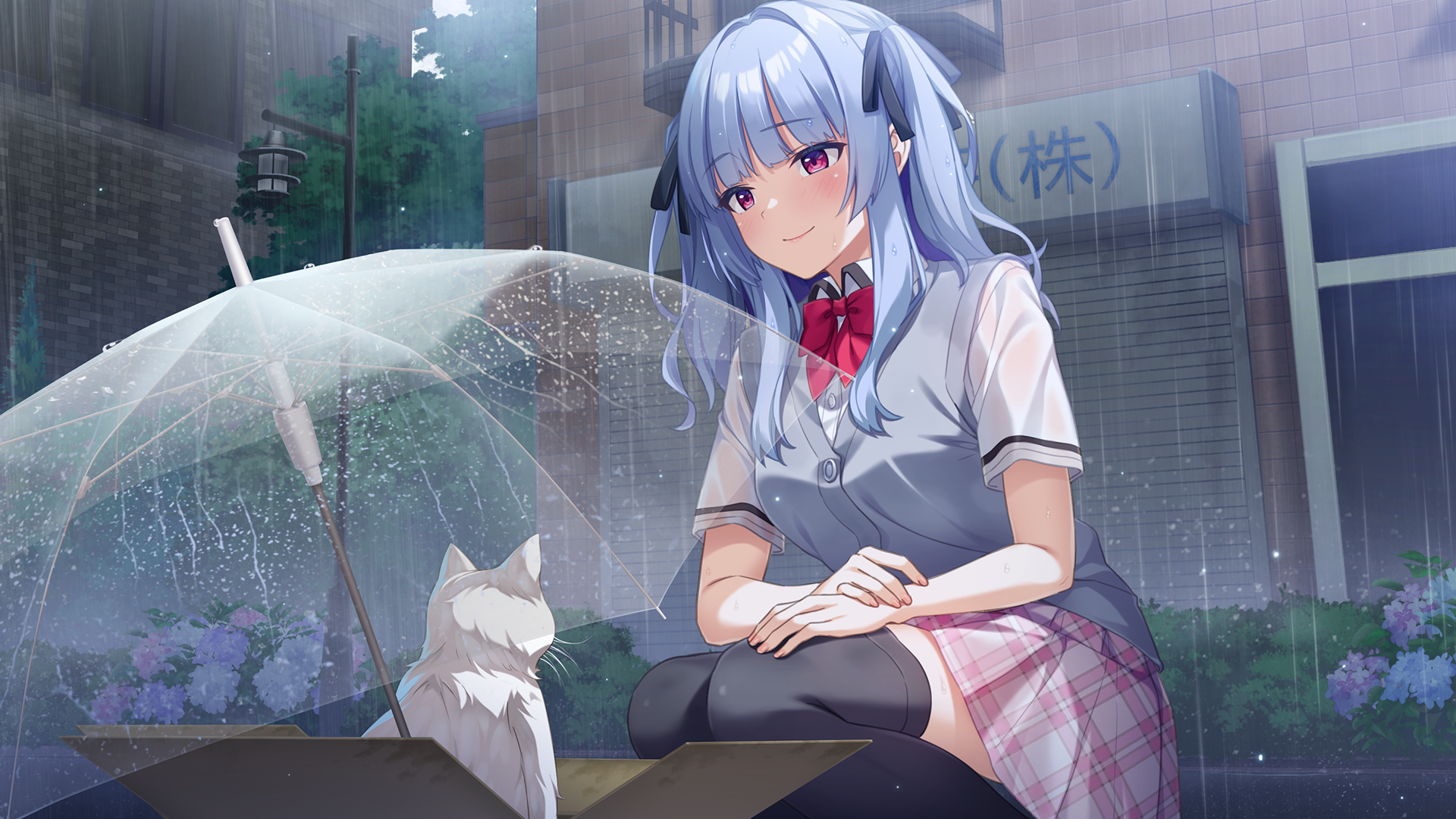 二次元图